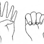 aadimudra