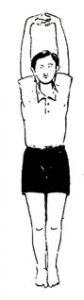 Tadasana - Urdhva baddhahastaasana