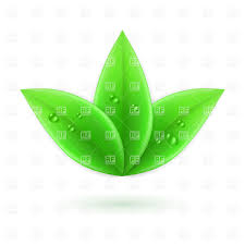 three leaves