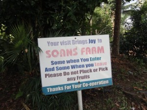 Saons farm