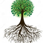 roots and leafs