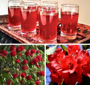 20-sept-baruns-flower-juice