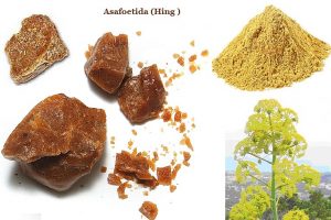 asafoetida-hing