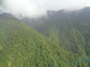 view-1