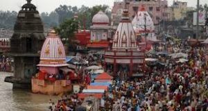 hari-kipauri