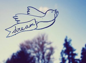 dream